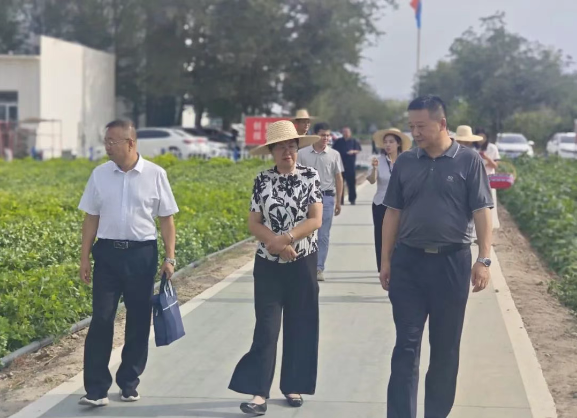 {b0900d4c-65c5-44cf-a6ba-64a209cfd7de}