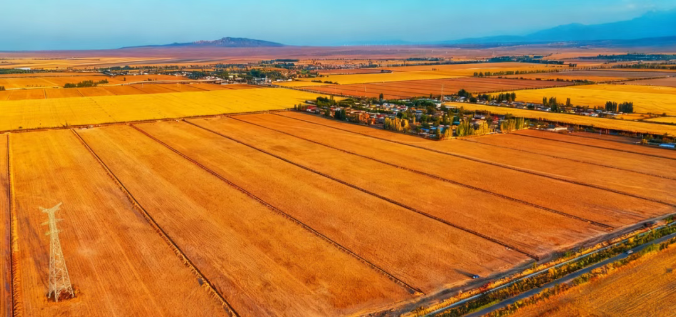 {a8f94d52-7684-40f4-a6df-61896c3fffc9}